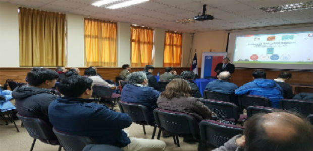 araucania2